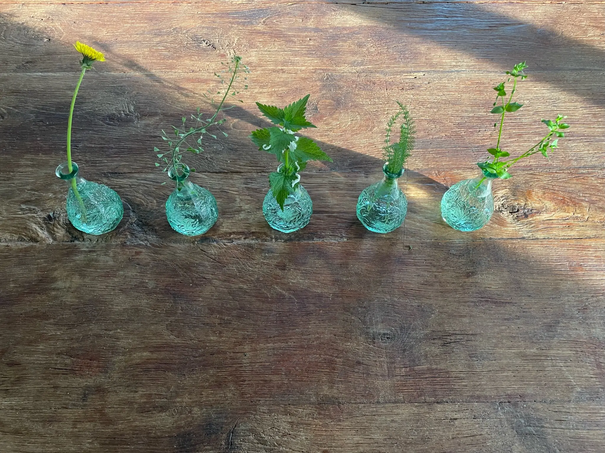 ein paar Gartenkräuter in kleinen Vasen